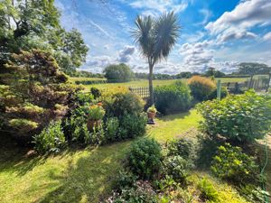 Photo 29- click for photo gallery